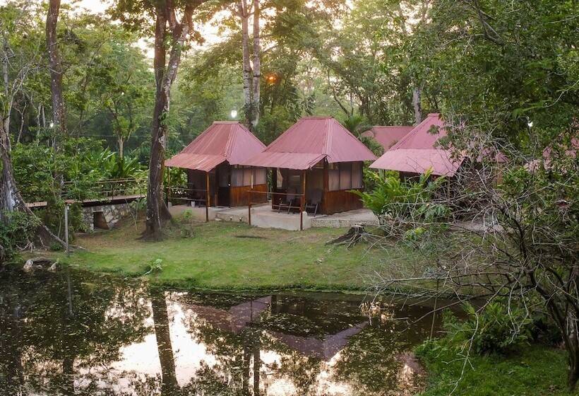 Cabañas Kin Balam Palenque