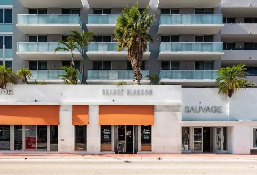 Отель Boulan South Beach