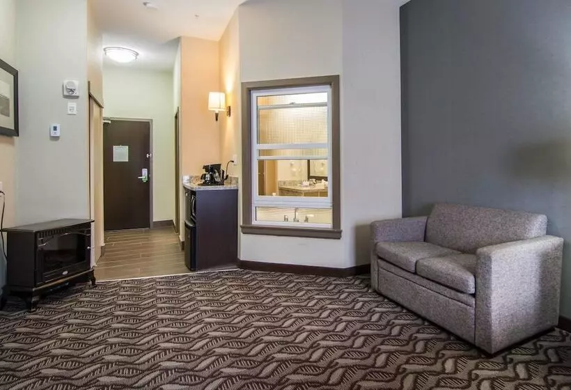 酒店 Comfort Inn & Suites