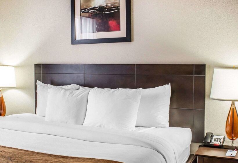 酒店 Comfort Suites Wilson  I  95