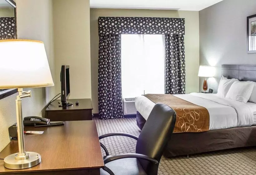 酒店 Comfort Suites Wilson I 95