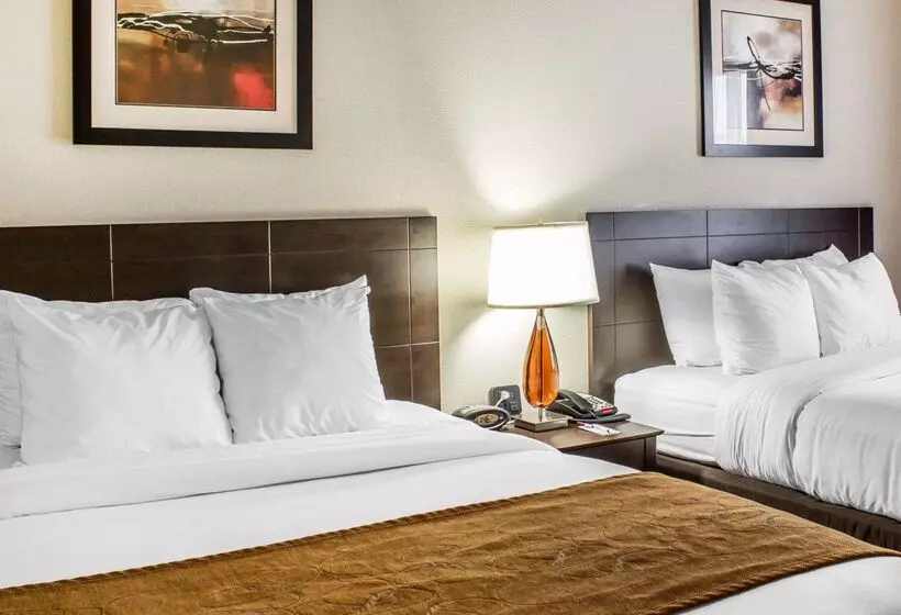 酒店 Comfort Suites Wilson I 95