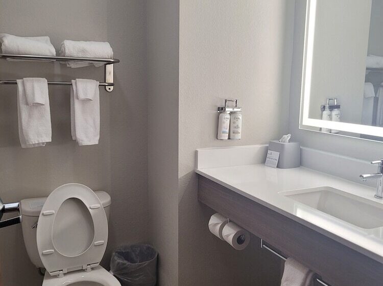 בית מלון כפרי Holiday Inn Express & Suites Wytheville, An Ihg