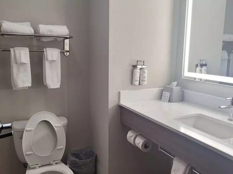 Szálloda Holiday Inn Express & Suites Wytheville, An Ihg