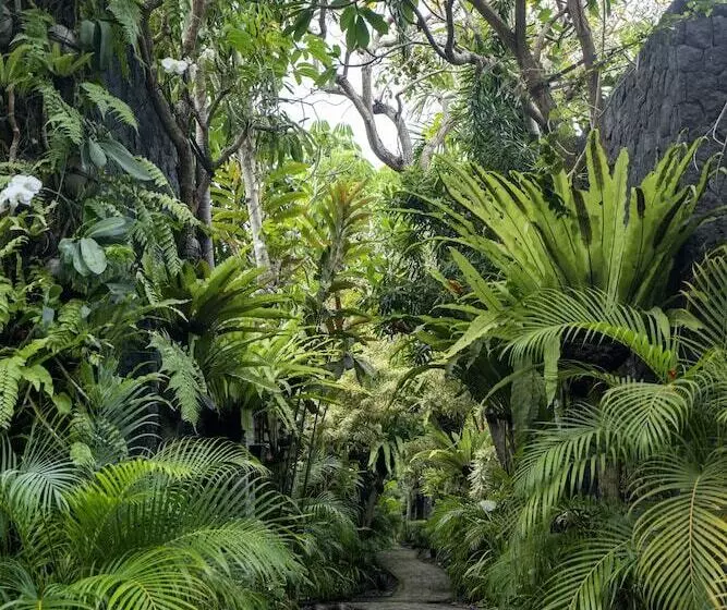 호텔 The Bali Dream Villa & Resort Echo Beach Canggu