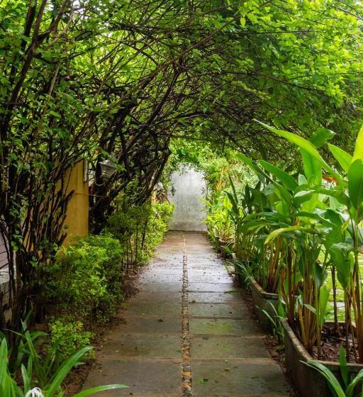 ホテル The Banyan Soul