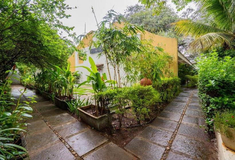 ホテル The Banyan Soul