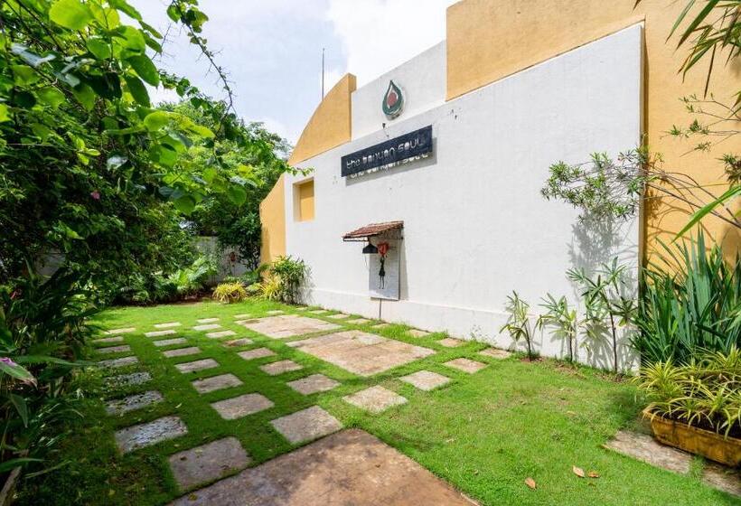 ホテル The Banyan Soul