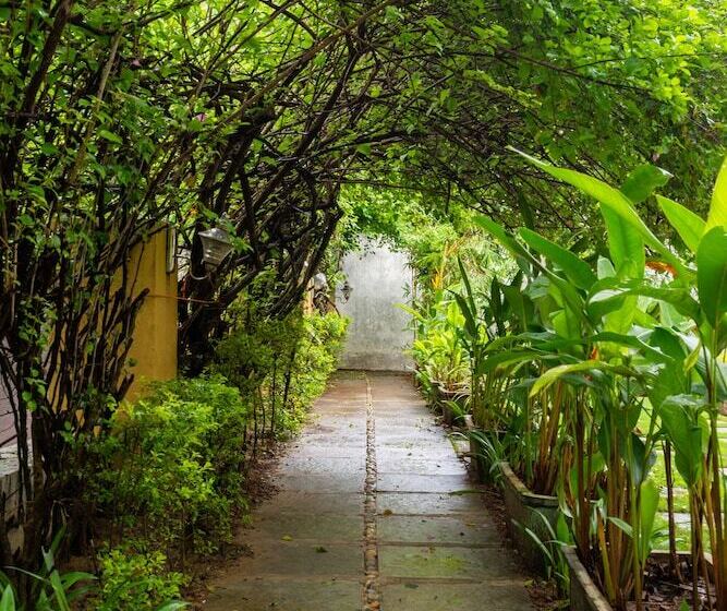 ホテル The Banyan Soul