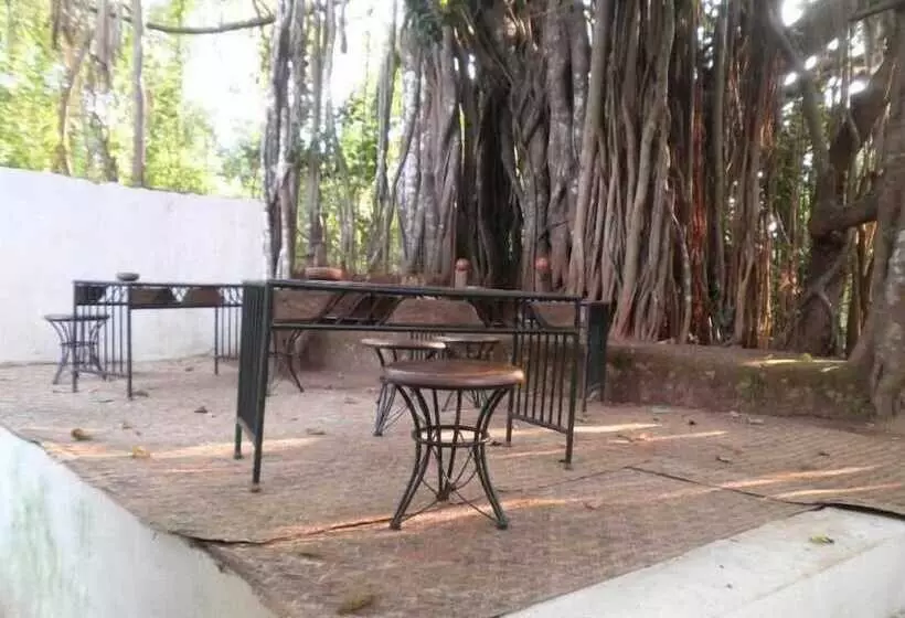 ホテル The Banyan Soul