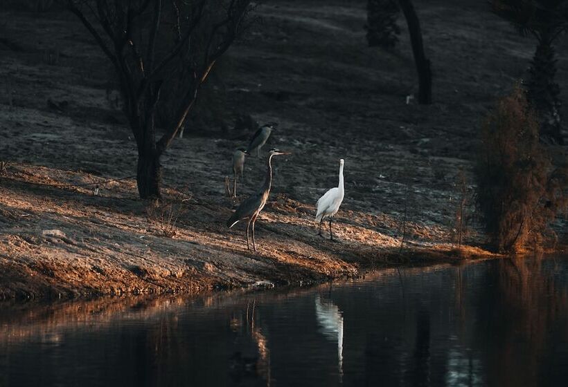 منتجع Azul Talavera Country Club