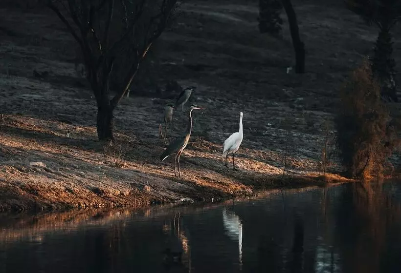 استراحتگاه Azul Talavera Country Club