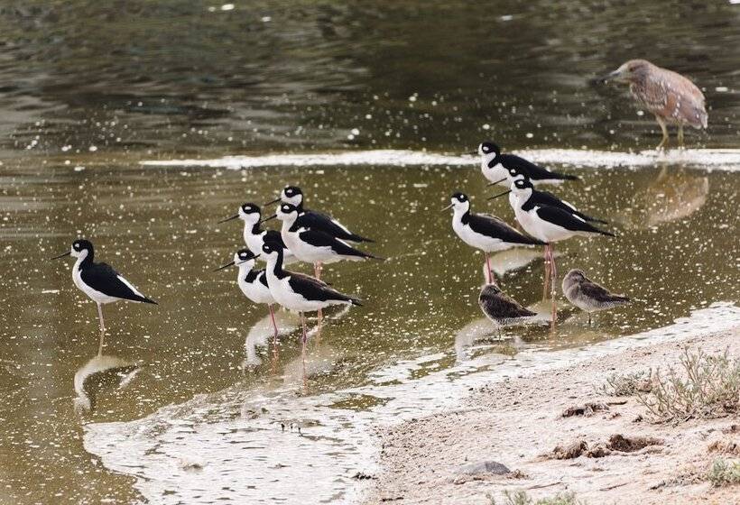 منتجع Azul Talavera Country Club