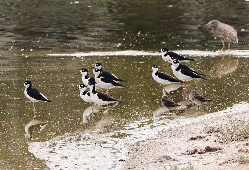 استراحتگاه Azul Talavera Country Club