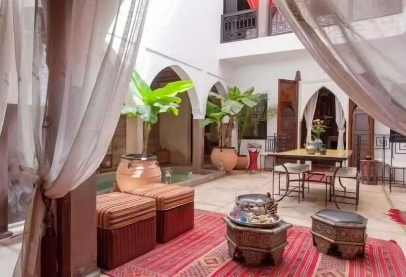 Riad Dar Kamar Zamane   Adults Only