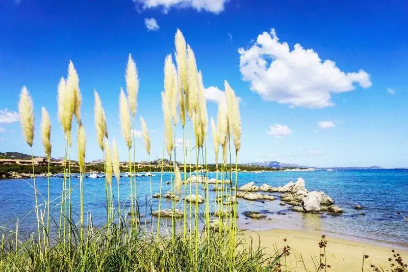 Baia De Bahas Apartaments & Resort