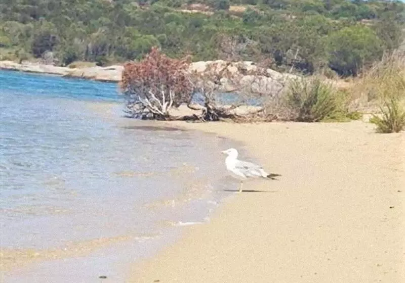 Baia De Bahas Apartaments & Resort