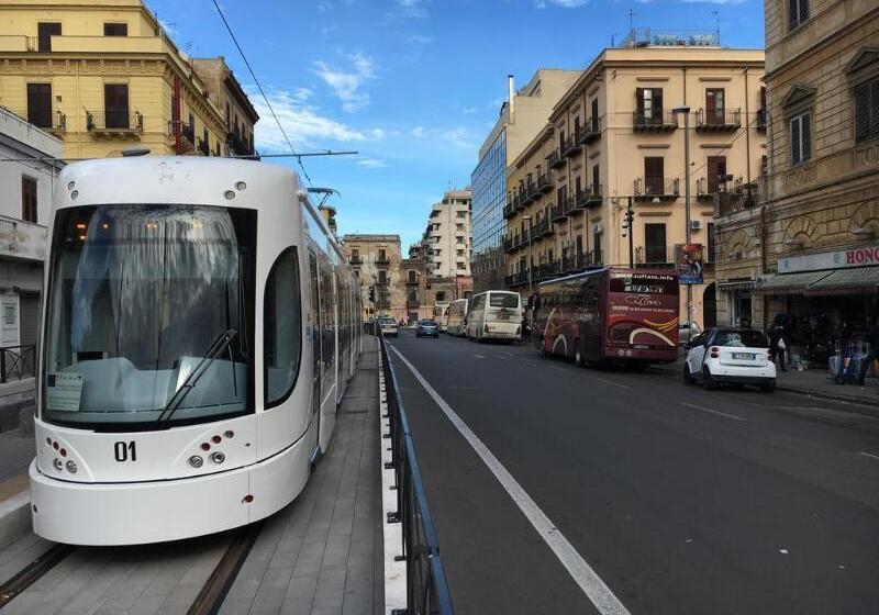 住宿加早餐  White