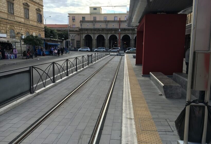 住宿加早餐  White