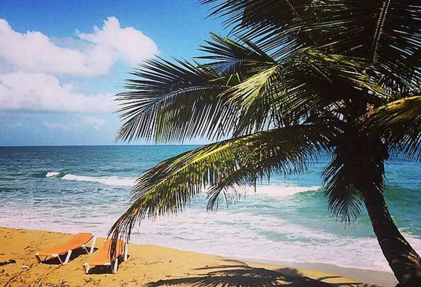 مبيت وإفطار Cabarete Maravilla Eco Lodge Boutique Beach Surf Encuentro, Kite, By Aa Group