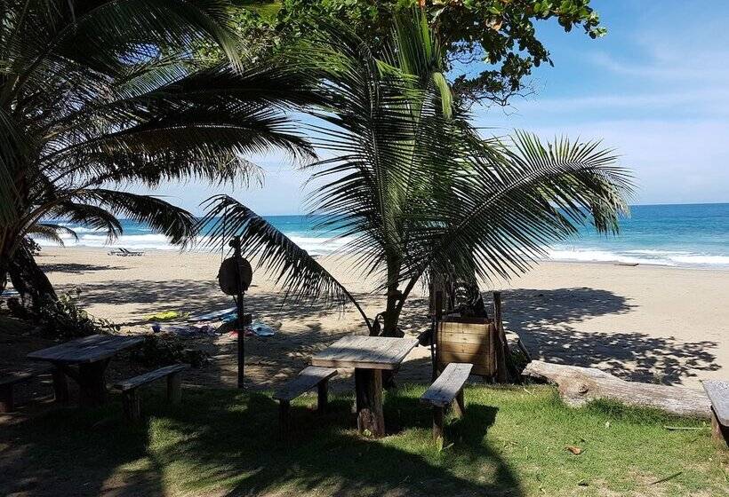 مبيت وإفطار Cabarete Maravilla Eco Lodge Boutique Beach Surf Encuentro, Kite, By Aa Group