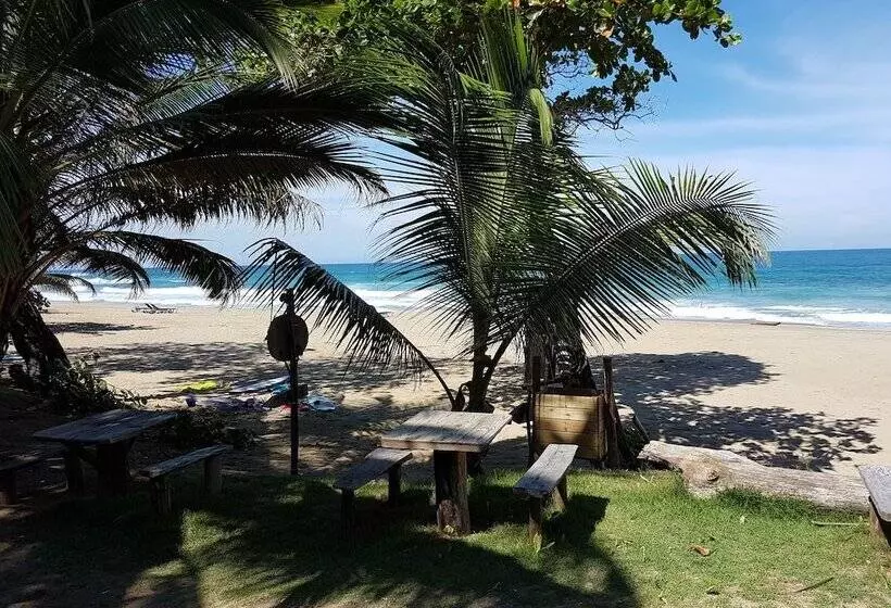 住宿加早餐  Cabarete Maravilla Eco Lodge Boutique Beach Surf Encuentro, Kite, By Aa Group