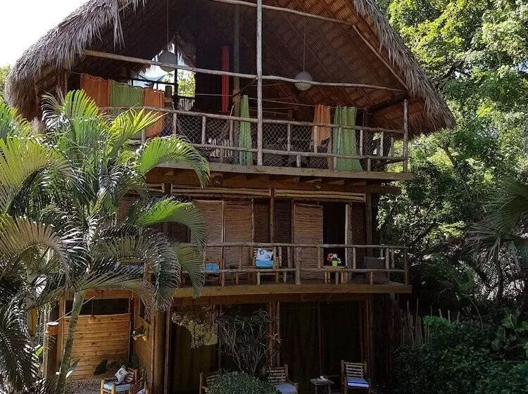 住宿加早餐  Cabarete Maravilla Eco Lodge Boutique Beach Surf Encuentro, Kite, By Aa Group