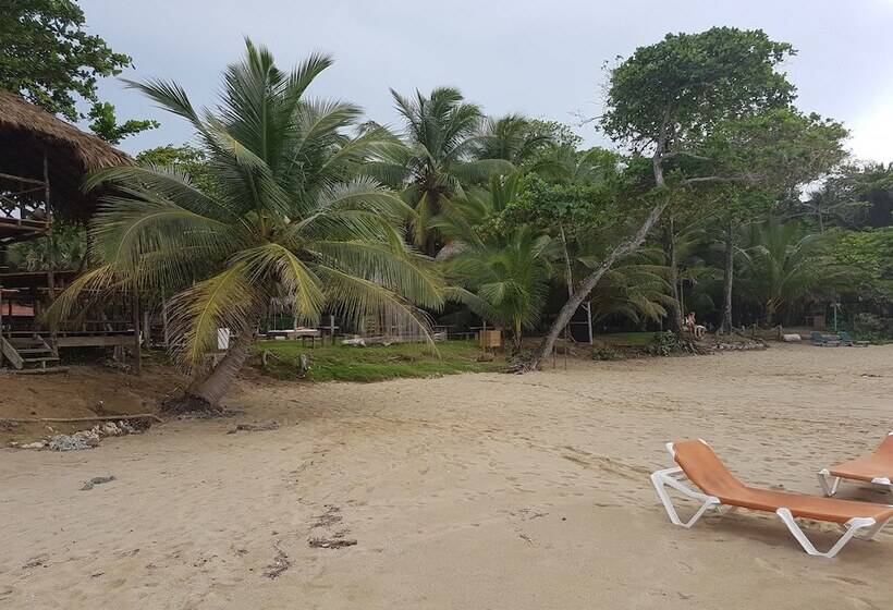 مبيت وإفطار Cabarete Maravilla Eco Lodge Boutique Beach Surf Encuentro, Kite, By Aa Group