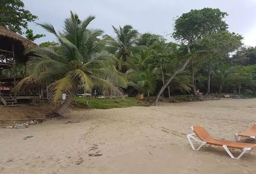 住宿加早餐  Cabarete Maravilla Eco Lodge Boutique Beach Surf Encuentro, Kite, By Aa Group