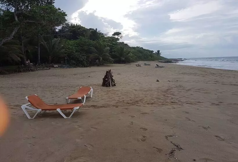 住宿加早餐  Cabarete Maravilla Eco Lodge Boutique Beach Surf Encuentro, Kite, By Aa Group