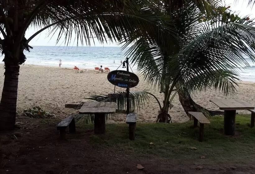 住宿加早餐  Cabarete Maravilla Eco Lodge Boutique Beach Surf Encuentro, Kite, By Aa Group