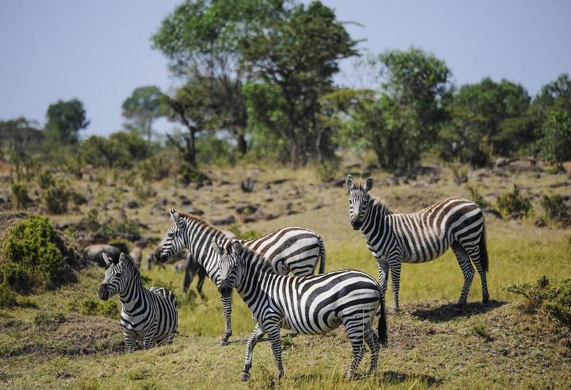 בית מלון כפרי Diamonds Dream Of Africa