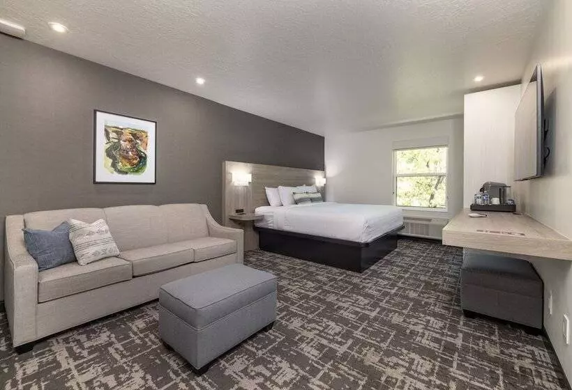 酒店 Montclair Inn & Suites At Zion National Park