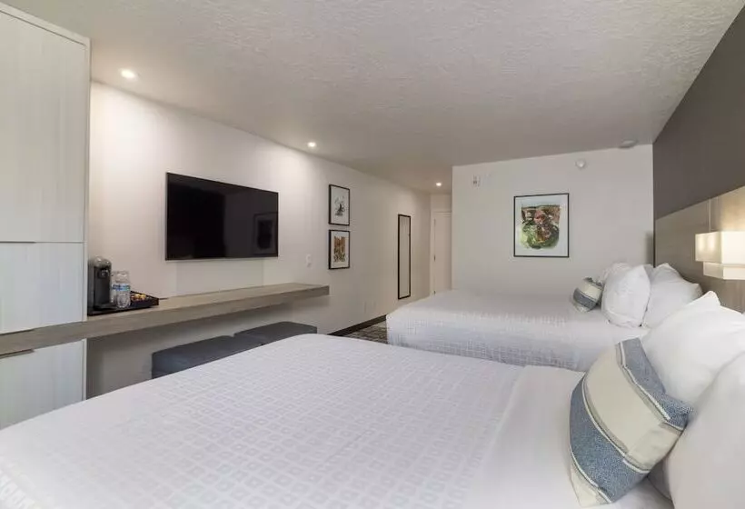 酒店 Montclair Inn & Suites At Zion National Park