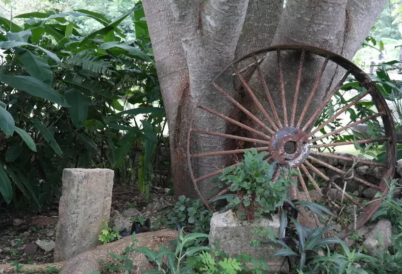 פונדק Hacienda Tepich 