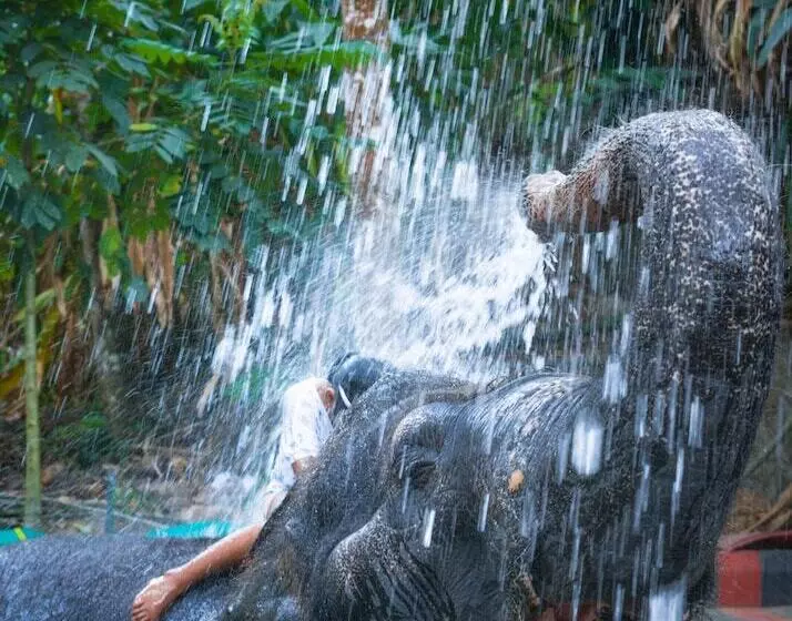 酒店 Amritara Shalimar Spice Garden Resort & Spa