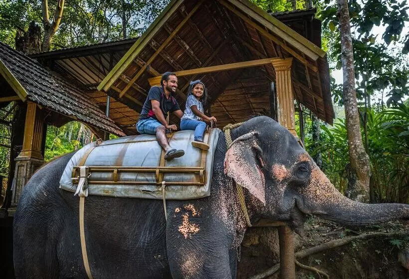 酒店 Amritara Shalimar Spice Garden Resort & Spa