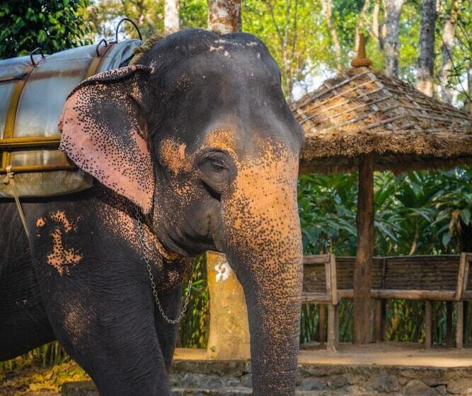 בית מלון כפרי Amritara Shalimar Spice Garden Resort & Spa