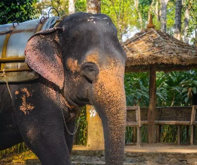 酒店 Amritara Shalimar Spice Garden Resort & Spa