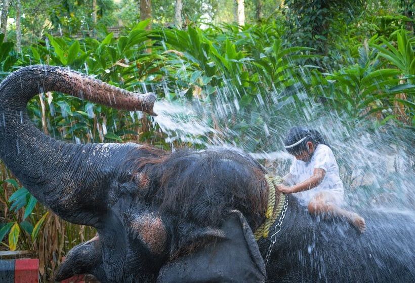 בית מלון כפרי Amritara Shalimar Spice Garden Resort & Spa