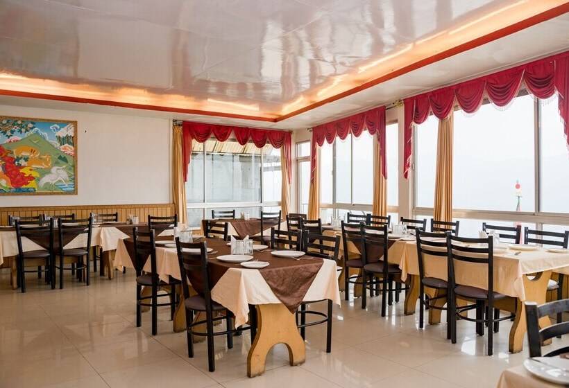 فندق Doma Residency