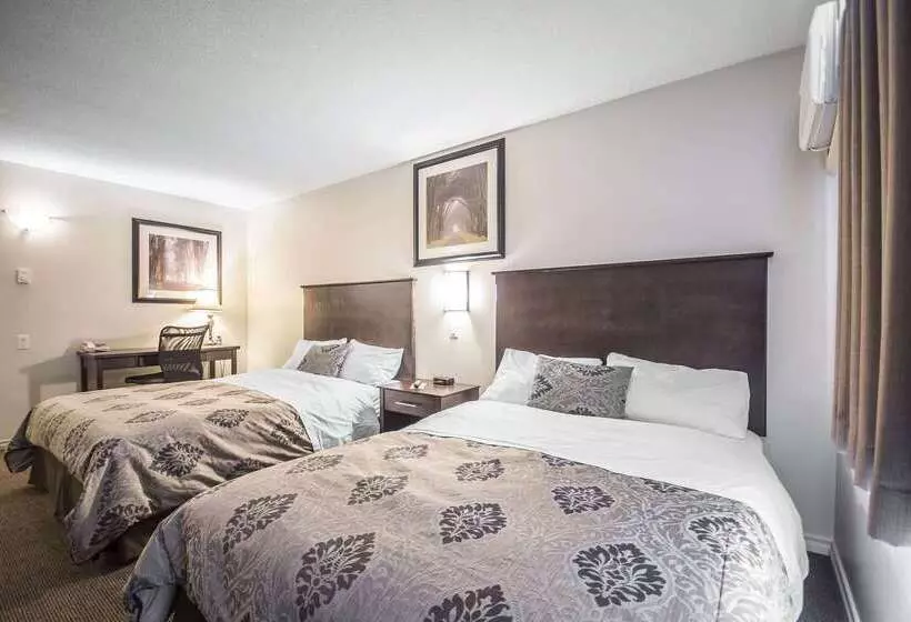 Отель Econo Lodge