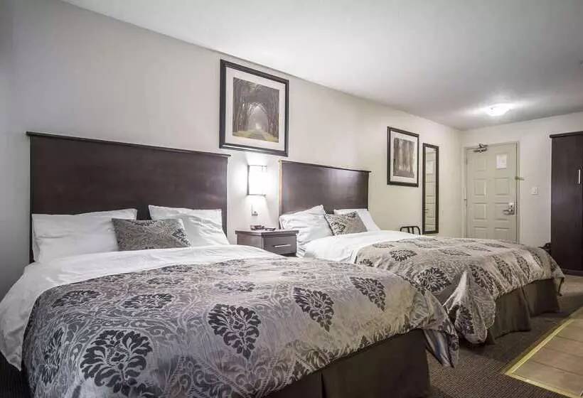 Отель Econo Lodge