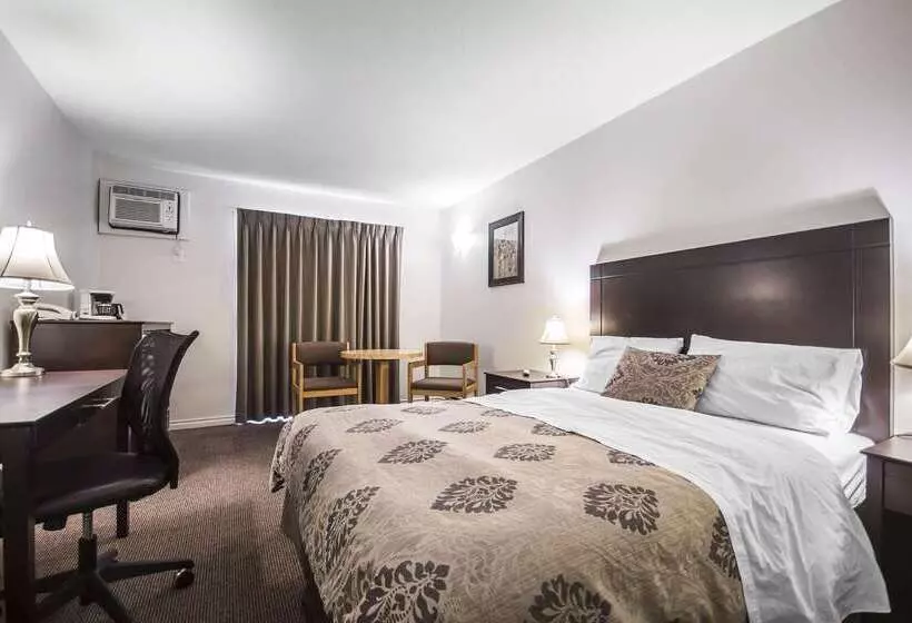 Отель Econo Lodge