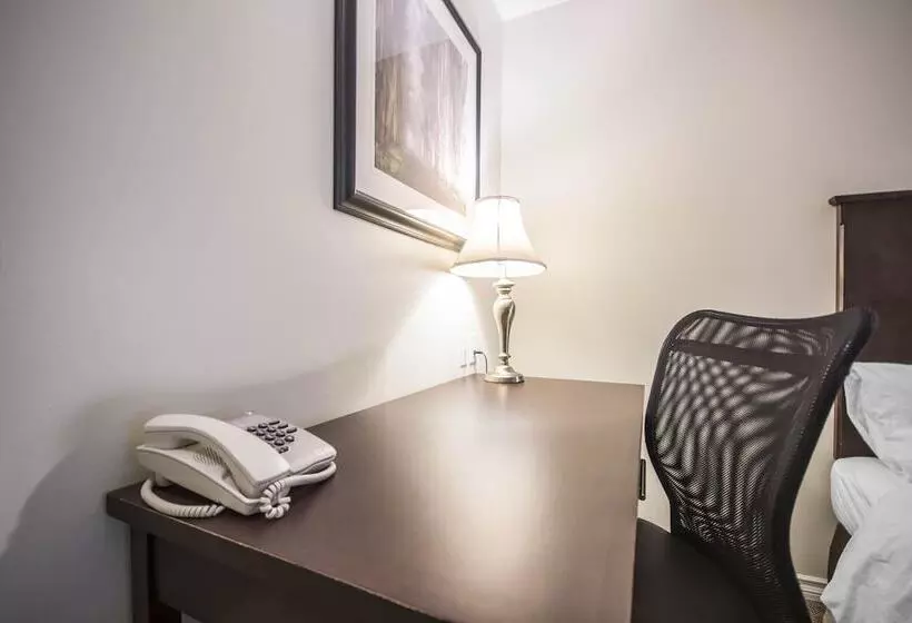 Отель Econo Lodge