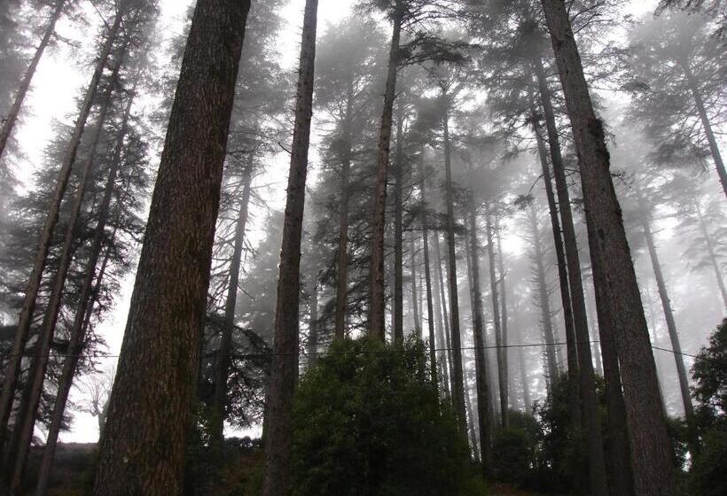 ホテル Honeymoon Inn  Mussoorie