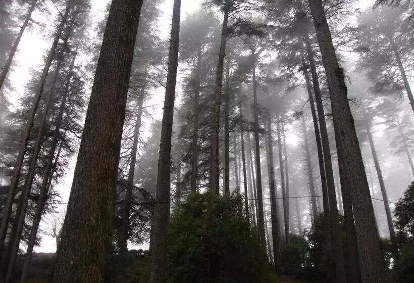 ホテル Honeymoon Inn  Mussoorie