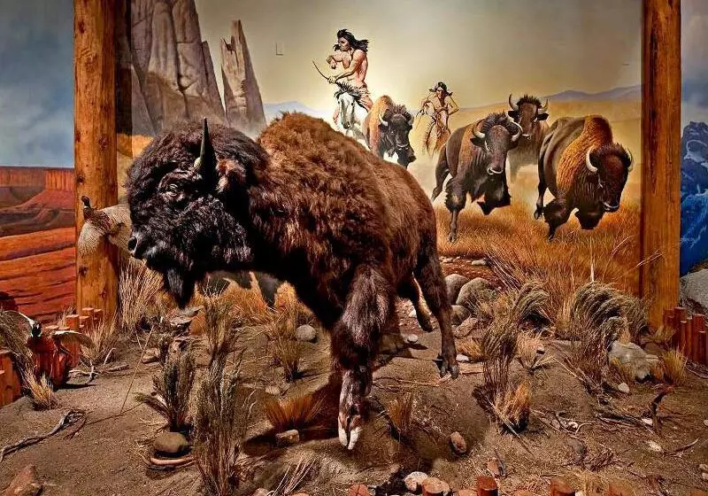 酒店 De Novo Springdale, Tapestry Collection By Hilton