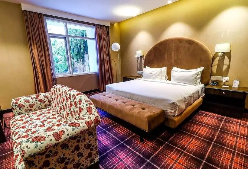 호텔 Piccadily Raipur