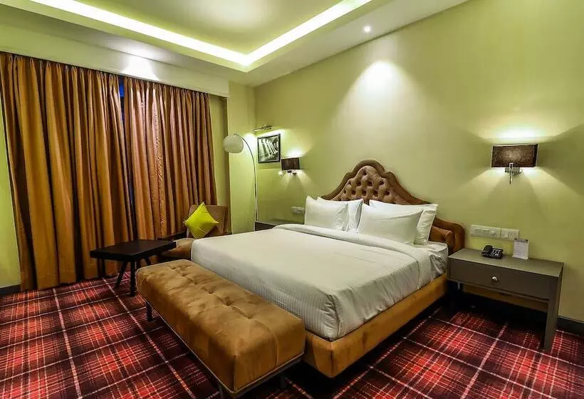 호텔 Piccadily Raipur